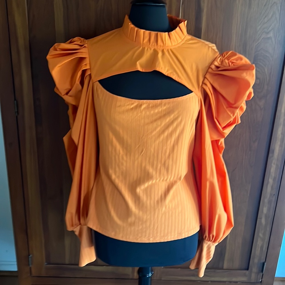 Puffy Sleeve Knit Blouse